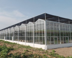 溫室大棚在建造時的注意事項有哪些？