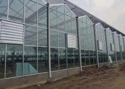 玻璃溫室