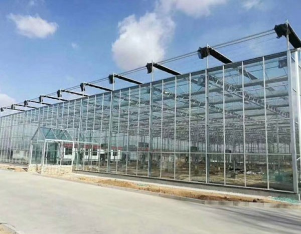 玻璃溫室