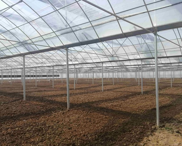 連棟溫室大棚建設(shè)