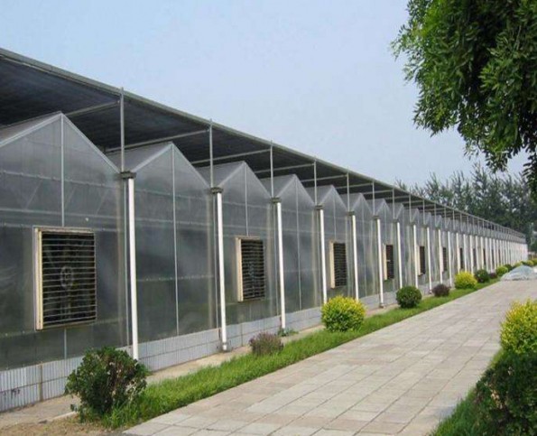 陽光板溫室